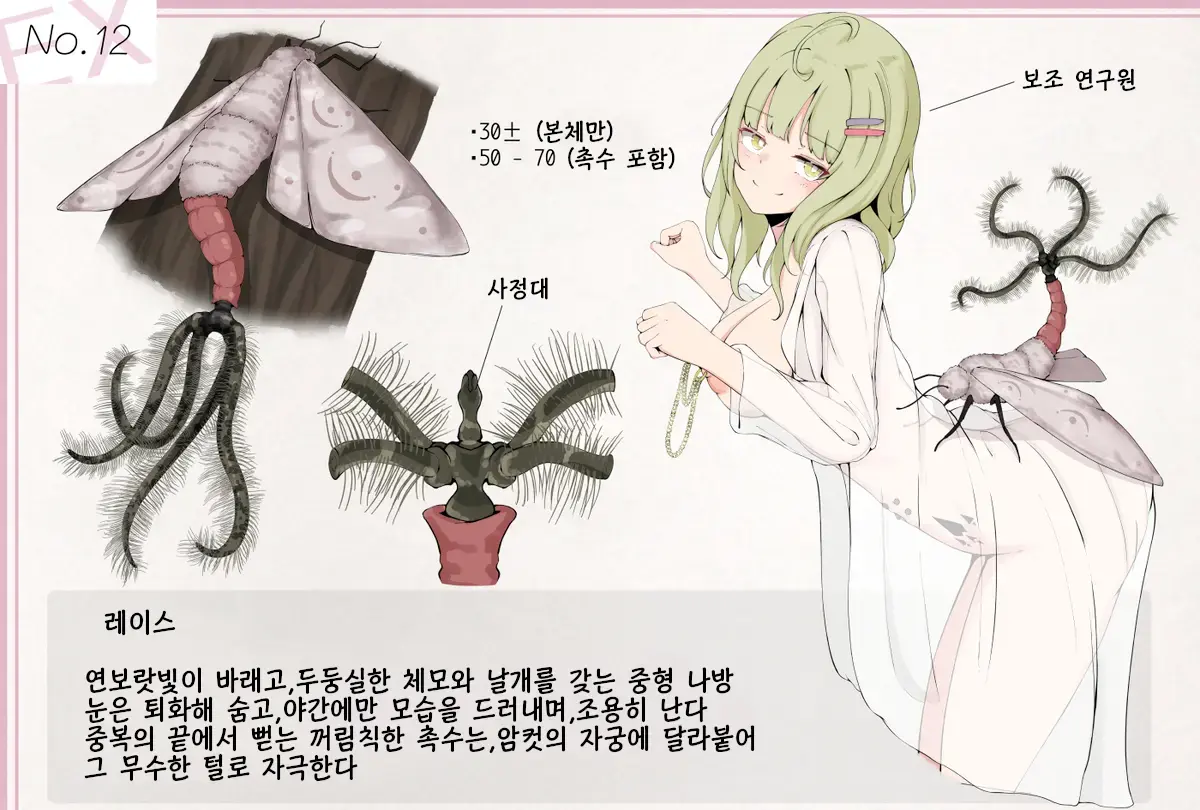 Insect Research Report EX